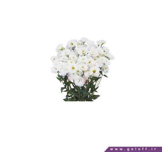 دسته گل زیبا - دسته گل لیسیانتوس پیکولو وایت - Lisianthus | گل آف
